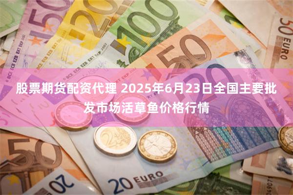 股票期货配资代理 2025年6月23日全国主要批发市场活草鱼价格行情