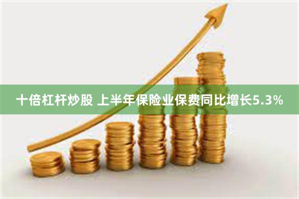 十倍杠杆炒股 上半年保险业保费同比增长5.3%