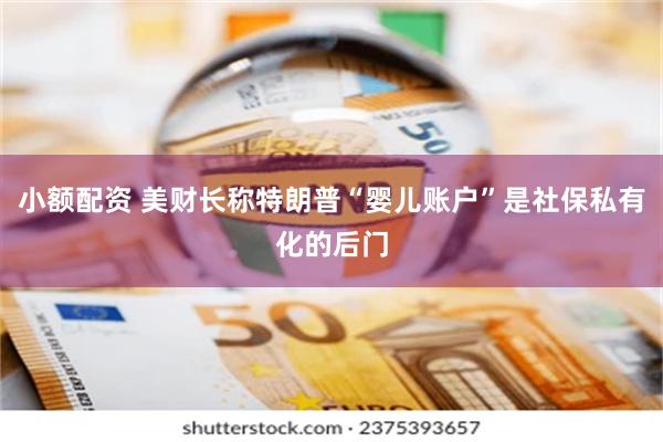 小额配资 美财长称特朗普“婴儿账户”是社保私有化的后门