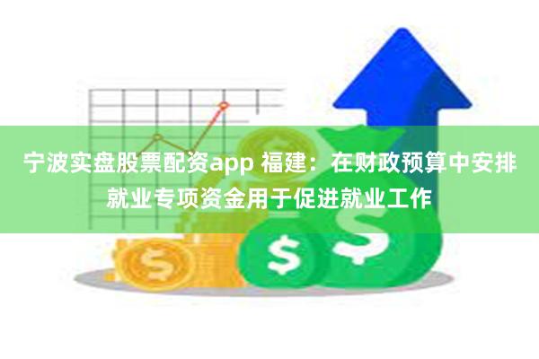 宁波实盘股票配资app 福建：在财政预算中安排就业专项资金用于促进就业工作