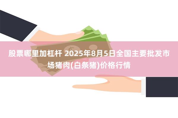 股票哪里加杠杆 2025年8月5日全国主要批发市场猪肉(白条猪)价格行情