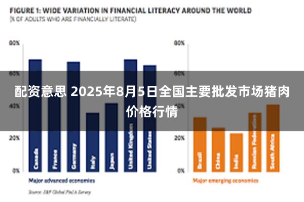 配资意思 2025年8月5日全国主要批发市场猪肉价格行情