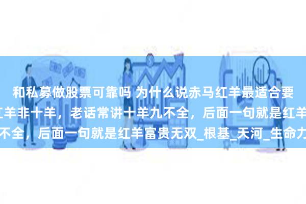 和私募做股票可靠吗 为什么说赤马红羊最适合要孩子？赤马非凡马，红羊非十羊，老话常讲十羊九不全，后面一句就是红羊富贵无双_根基_天河_生命力